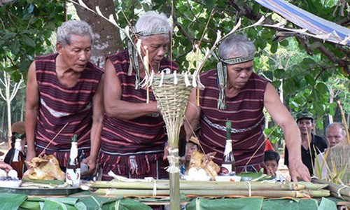 Độc đáo lễ cúng thần lúa - Sayangva của người Chơro