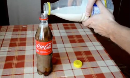 Điều gì xảy ra khi đổ sữa vào Coca Cola?