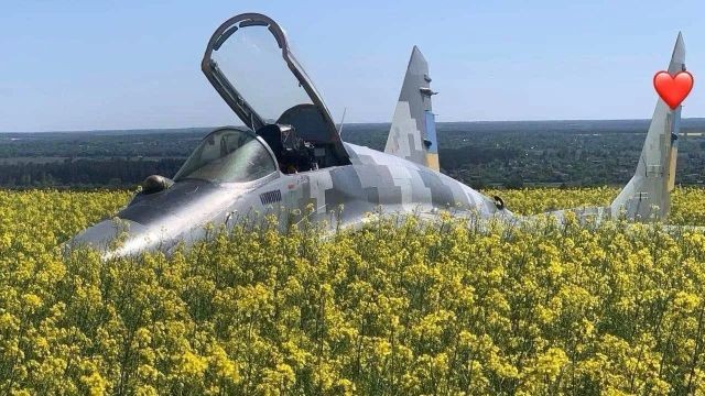 MiG-29 hạ cánh khẩn cấp xuống cánh đồng hoa cải