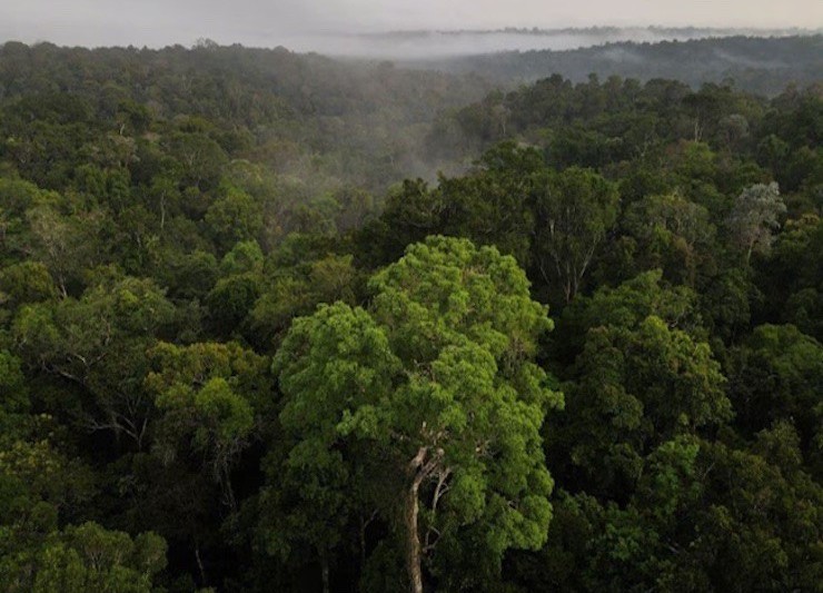 &#34;Báo động đỏ&#34; khí thải CO2 trên Trái đất, cao chưa từng có trong 800 năm