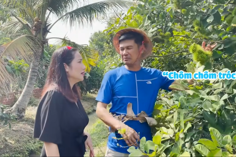 Bên trong khu vườn có nhiều cây ăn trái của Tiết Cương