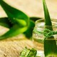 Loài hoa mỗi khi nở là gia chủ phát tài, tiền đếm mỏi tay
