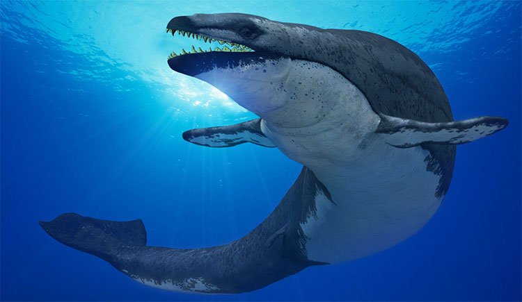 Quái vật tiền sử "thằn lằn chúa" chuyên săn cá voi