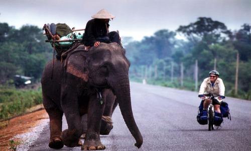 Thú nuôi voi độc nhất vô nhị của đại gia Lào