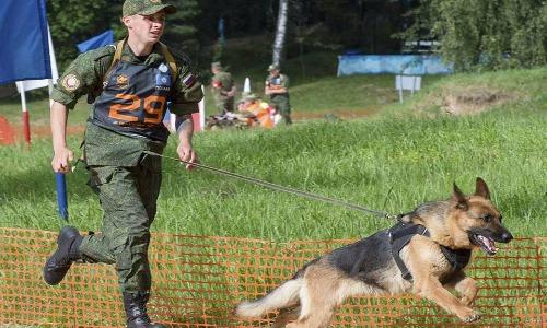 Kỳ lạ thí sinh bốn chân trong Army Game 2017