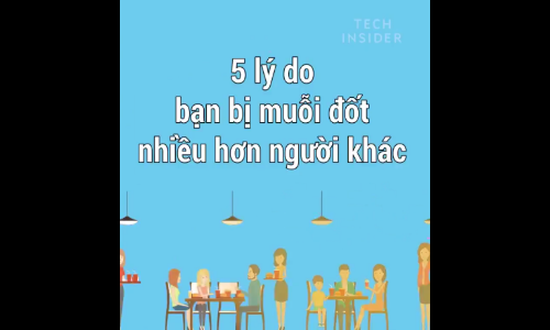 Video: Tại sao bạn bị muỗi đốt nhiều hơn người khác? 