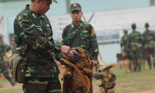 Mãn nhãn bộ đội biên phòng Việt Nam trình diễn sức mạnh