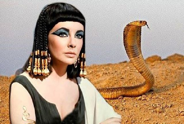 Bí ẩn về loài rắn độc Ai Cập và cái chết của nữ hoàng Cleopatra