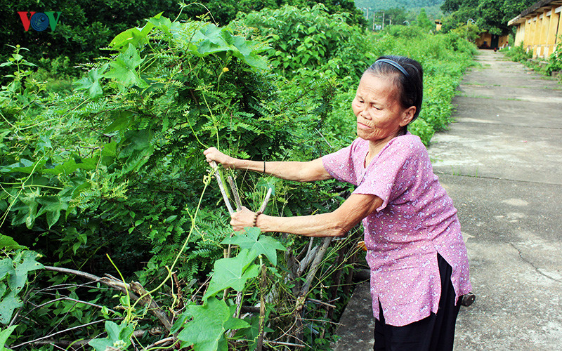 Ảnh: Xót xa những phận người sống mòn ở trại phong bỏ hoang