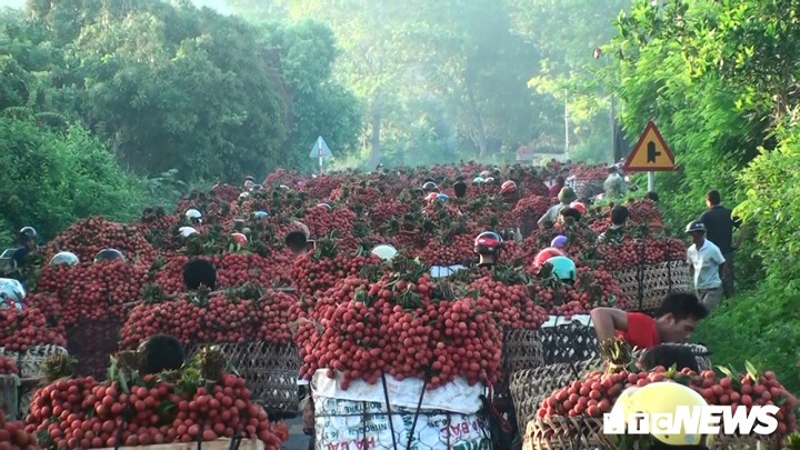 Chợ vùng cao Bắc Giang đỏ ối màu vải thiều