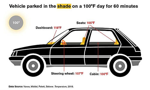Xe ôtô để ngoài trời nắng nóng có thể gây chết người 