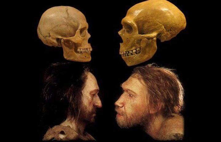 Người Neanderthal tuyệt chủng vì quan hệ tình cảm với... loài người? 