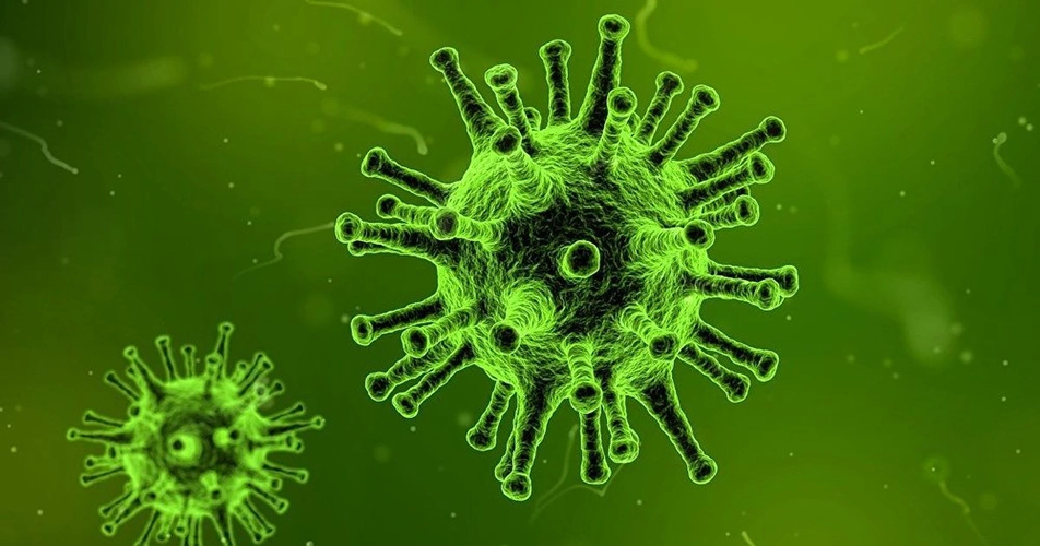 Bất ngờ sự hồi sinh của virus “thây ma” 48.500 năm tuổi