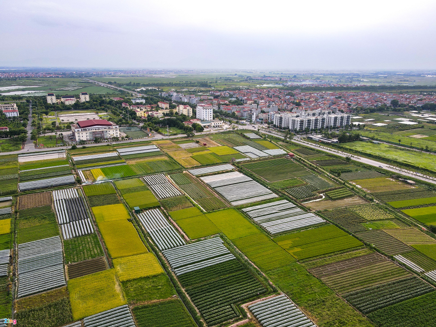 Hiện trạng khu đất hai dự án đô thị bị thu hồi ở Hà Nội