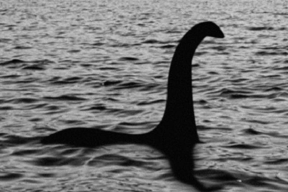 Đi dạo, rùng mình đụng trúng... “quái vật hồ Loch Ness" dạt vào bờ