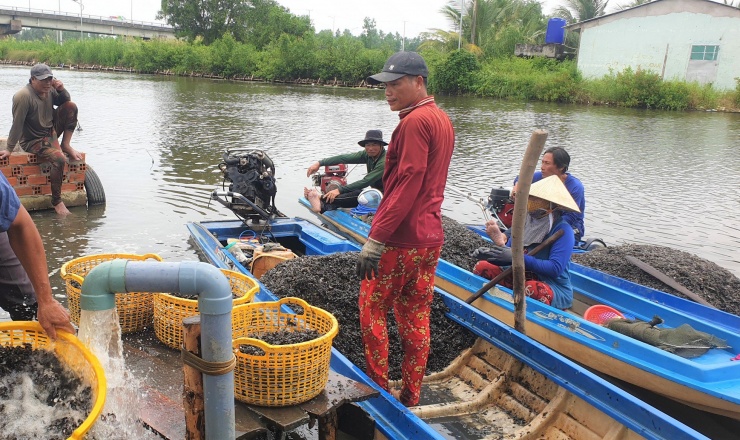 Ngâm mình hàng giờ bắt con hai mảnh dưới sông