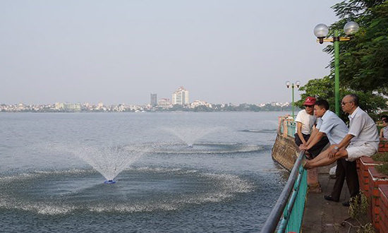 Chùm ảnh: Cá đã bơi lội tung tăng ở Hồ Tây