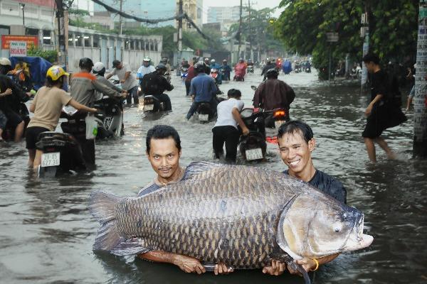 TP HCM ngập lụt, “thánh chế ảnh” trổ tài khiến dân tình cười ngất