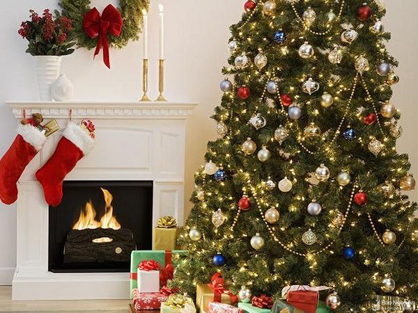 Cây thông Noel đầu tiên trên thế giới không phải là... loại cây