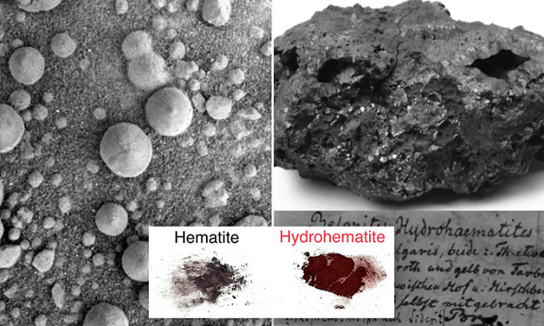 Giải mã sinh vật kỳ bí của sao Hỏa xuất hiện trên Trái đất 