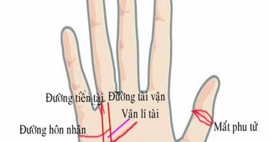 Bàn tay có 4 đường này may hết phần thiên hạ, chỉ 1/4 cũng đủ giàu 