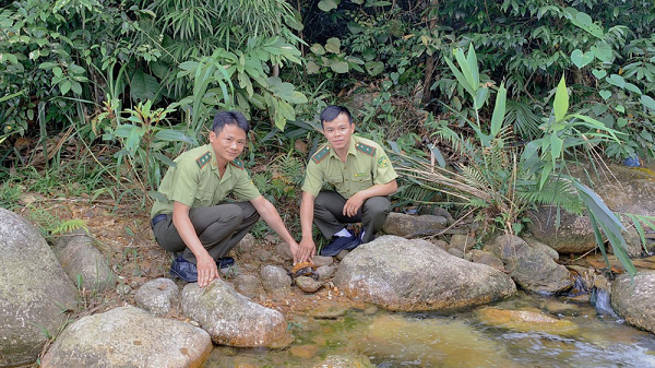 Thả rùa sa nhân về tự nhiên ở Bắc Giang: Cực quý hiếm!