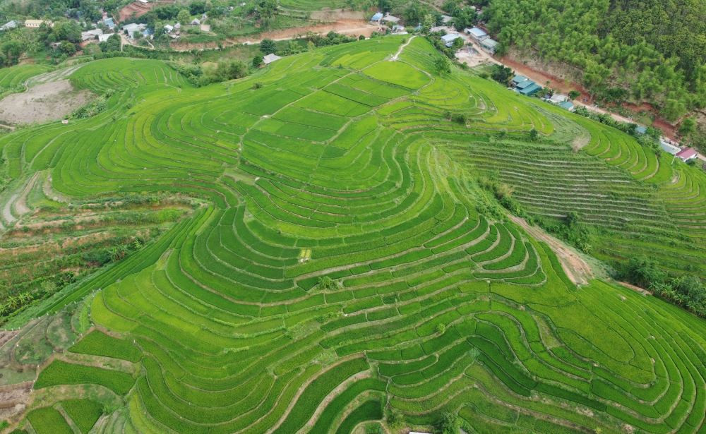 Chiêm ngưỡng những thửa ruộng bậc thang tuyệt đẹp xứ Thanh