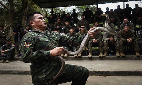 Binh sĩ Mỹ thi uống máu rắn trong tập trận Hổ mang Vàng