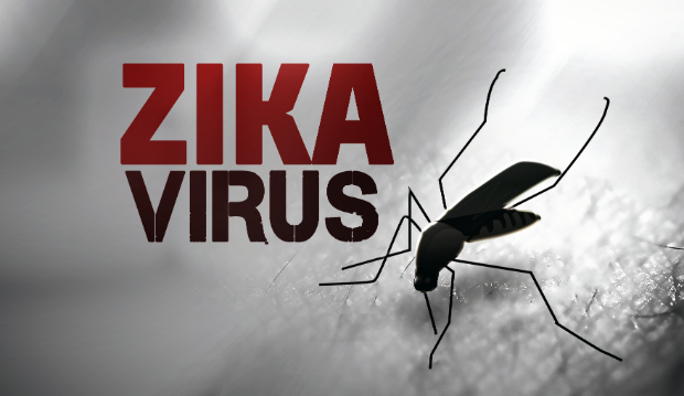 Những điều cần biết về loài muỗi truyền virus Zika 