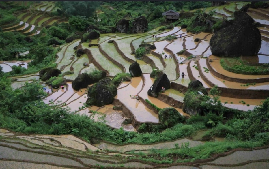 Ruộng bậc thang Khun Há vào mùa nước đổ