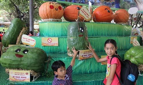 Ngắm "hàng khủng" tại lễ hội trái cây Nam Bộ 2017