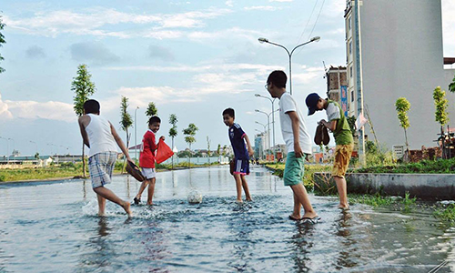 Phố Hà Nội vịt lội tung tăng