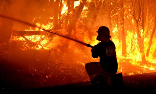 Phóng viên khoác áo lính cứu hỏa đương đầu cháy rừng tại Australia