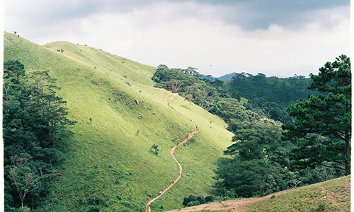 Cung đường trek đẹp nhất Việt Nam qua ảnh film