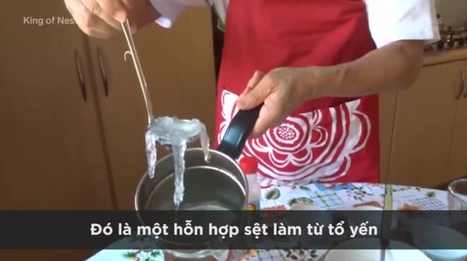 Video: Không còn quý hiếm nhưng đây là lí do tổ yến vẫn siêu đắt đỏ