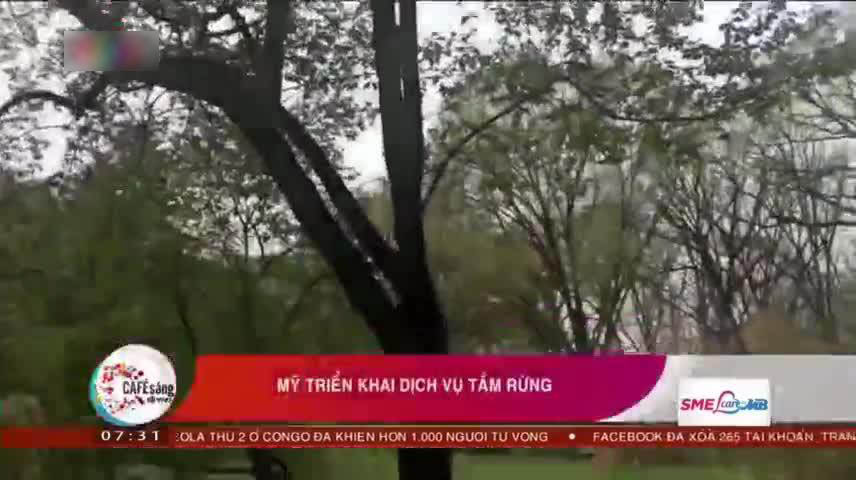 Video: Người Mỹ đi 'tắm rừng' để tăng tiếp xúc cây cối