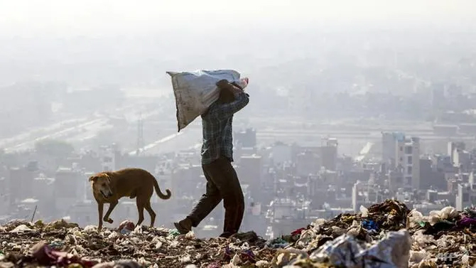 Video: Báo động núi rác tại New Delhi sẽ cao hơn 70 mét