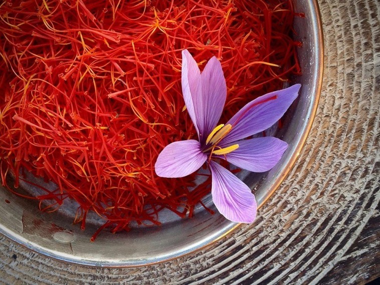 Video: Vì sao saffron là gia vị đắt nhất thế giới, hơn 10.000 USD/kg?