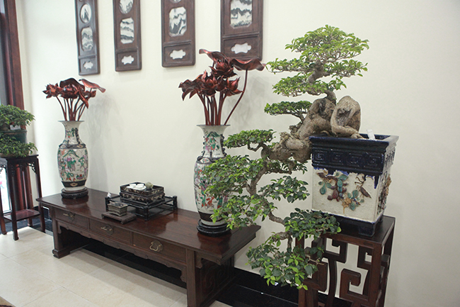 Bộ sưu tập bonsai tiền tỷ và "đồ chơi VIP" của đại gia Việt