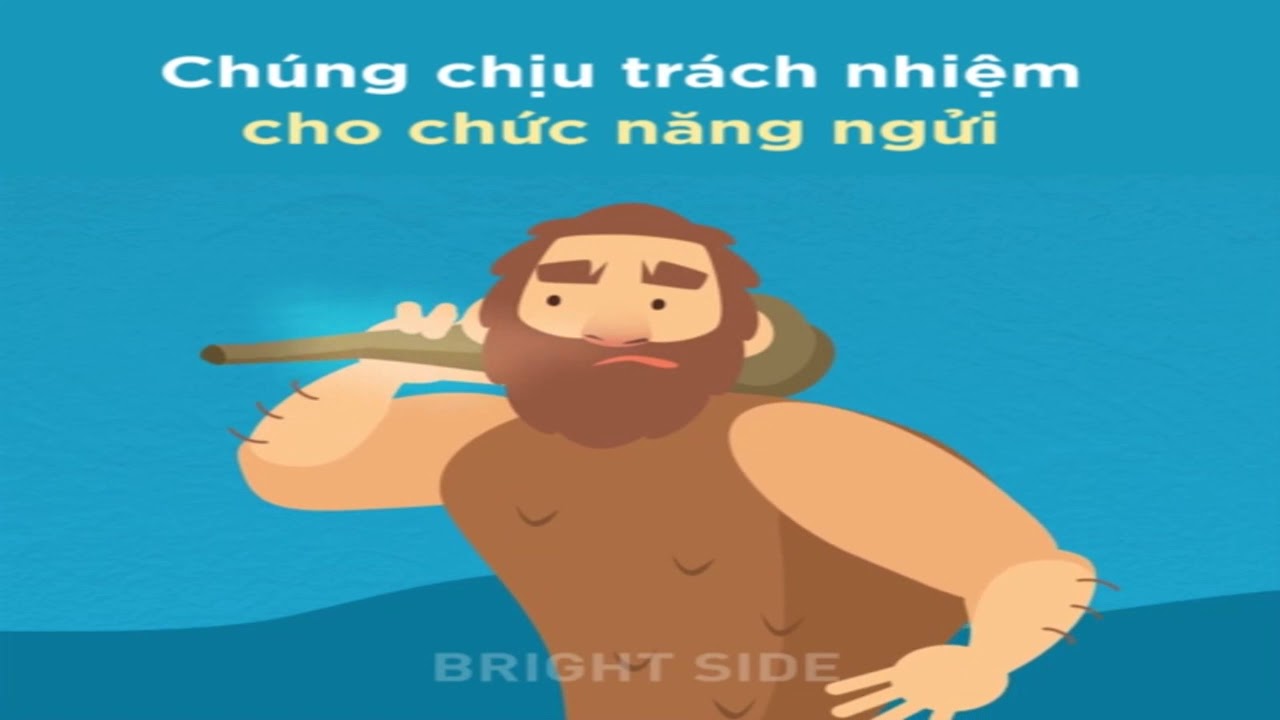 Video: Những bộ phận cơ thể từng hữu dụng với người tiền sử