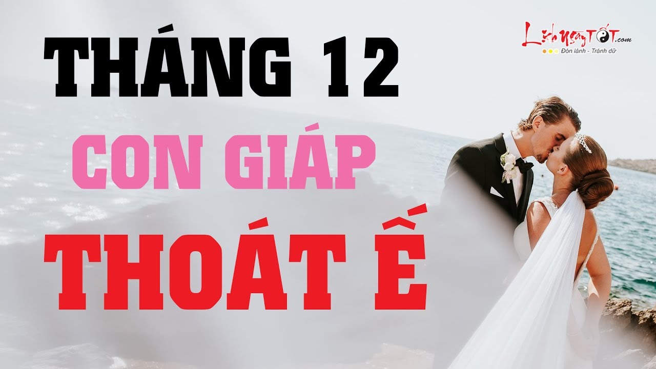 Video: Top con giáp đào hoa vượng sắc, thoát kiếp ế lâu ngày tháng 12/2019