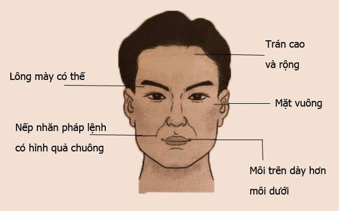 Đàn ông sở hữu 4 tướng trán này sau tuổi 30 giàu sang viên mãn