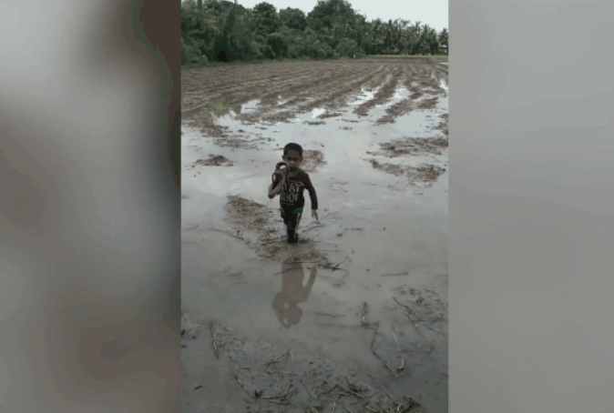 Video : Cậu bé một mình chơi đùa với con rắn giữa ruộng