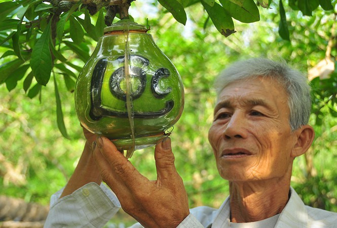 Đào tiên hồ lô độc nhất vô nhị ở Hậu Giang