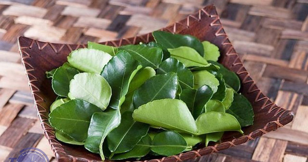 Lá chanh ở Việt Nam mọc đầy vườn, mang sang nước ngoài bán 6,35 triệu đồng/kg