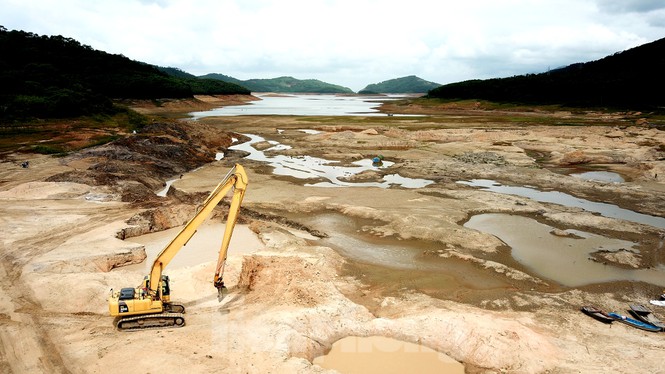 Hình ảnh bò "dạo chơi" trên mặt hồ nước ngọt lớn nhất Quảng Ninh