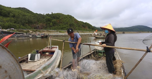 Ngư dân Hà Tĩnh vươn khơi thu "lộc biển" sau đợt mưa lớn