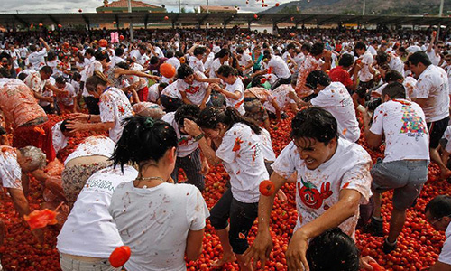 Lễ hội tinh hoàn bò độc đáo trên thế giới