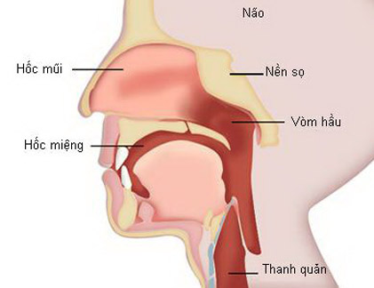 Những yếu tố hàng đầu gây ung thư đầu cổ