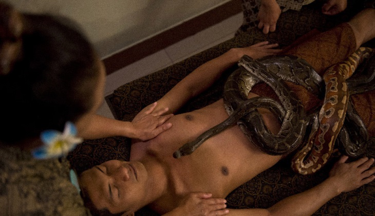 Kinh dị massage, làm đẹp với ốc sên và trăn 